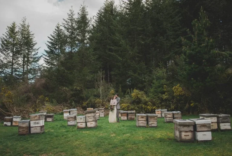 Lauren & Trent / Mt Thomas Elopement