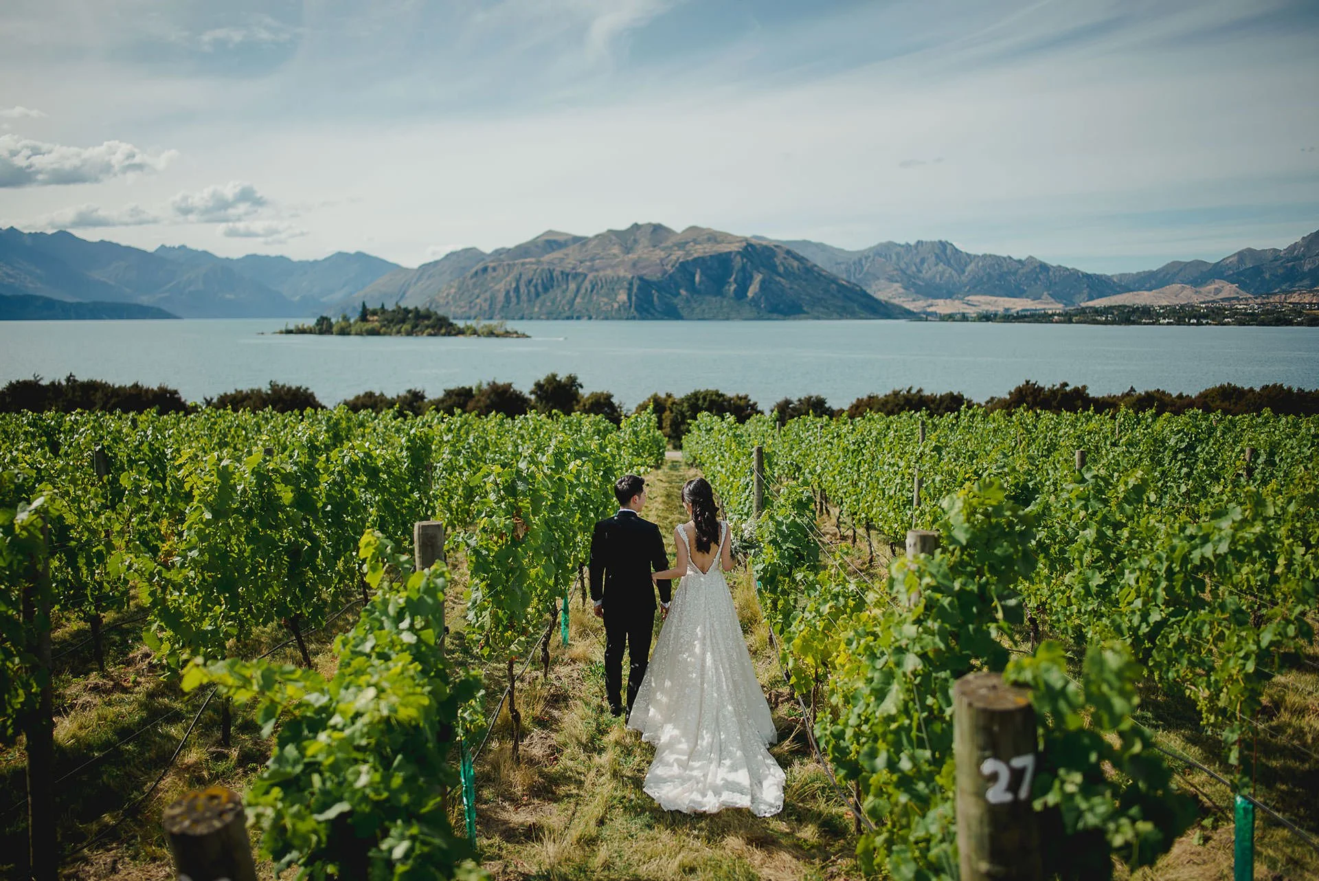  Vineyard pre wedding shoot, Lake Wanaka. 