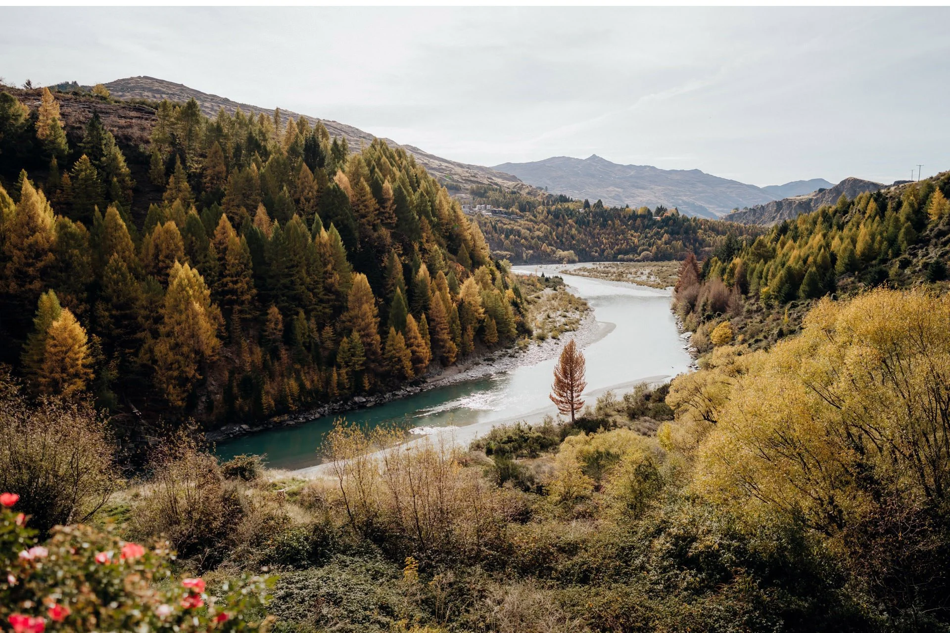 001_Trelawn-Queenstown-Elopement-Photography.jpg